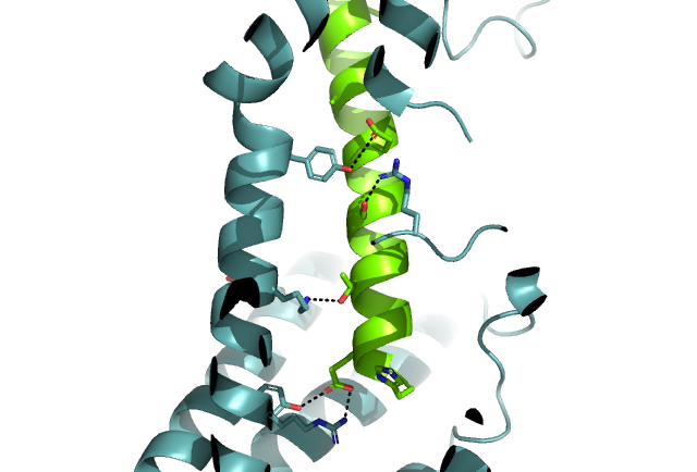 Image:GLP-1 F7.png