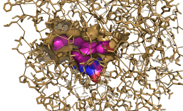 Image:Image 2 Ray Traced.png