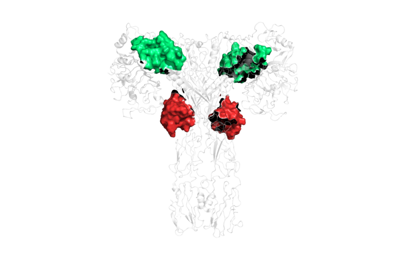 Image:biochemIBS.png