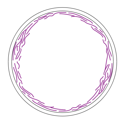 Image:FtsZ (Protopedia).png