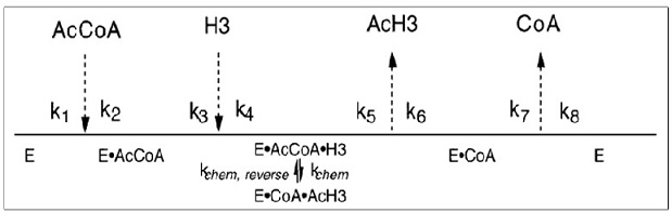 Image:Hpa2_Kinetic_Mechanism.jpg