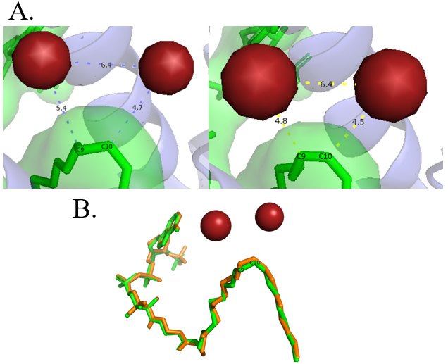 Image:Metal Cation Figure.png