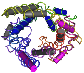 Image:286px-MMDB ID 92271 PDB ID 2LCK Mitochondrial Uncoupling Protein 2.png