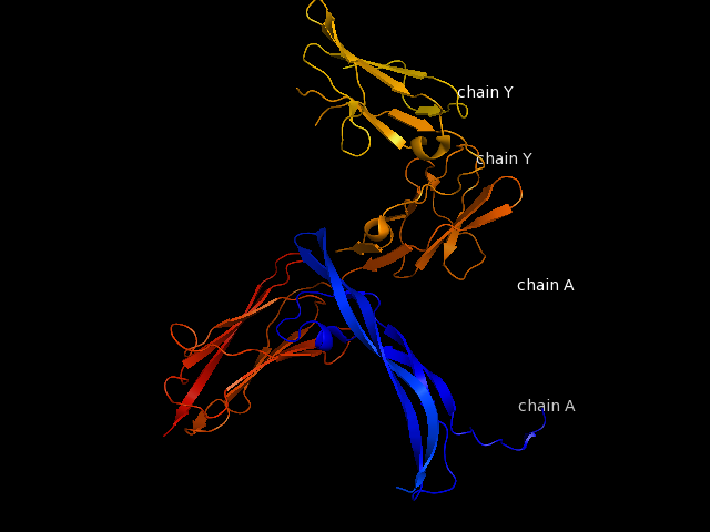Image:Chain A and Y.png