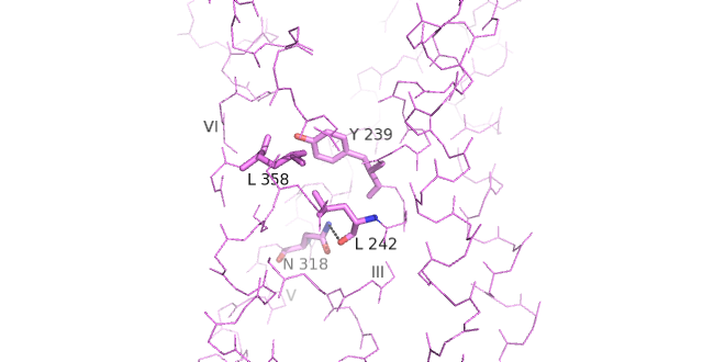 Image:Conserved Class B Residues.png