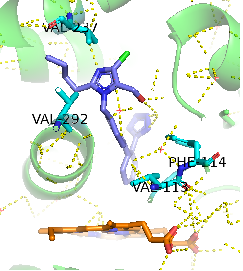 Image:Losartan within active binding site of CYP2C9star30.png