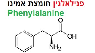 Image:פנילאלאנין.jpg