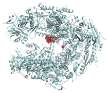 Image:Amatoxin2.png