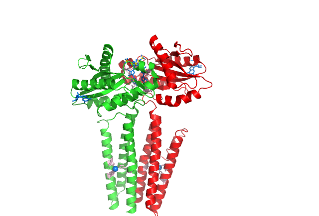 Image:DgcZ with ligands.png