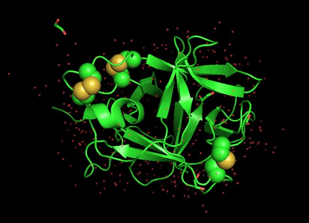 Image:Fig 3a fujr.jpg