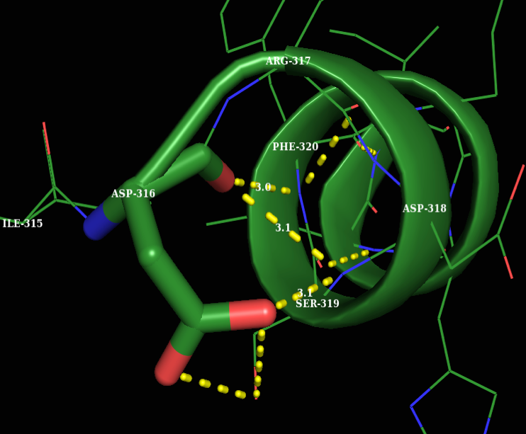 Capping Residue, Asp316 is acting as a capping residue at the N-terminus of helix F in PKG-Ia (PDB 3SHR). The oxygen of Asp316 (N cap) main chain is hydrogen bonding with the backbone nitrogen of Ser319 (N3) and the backbone of Phe320 (N4) with bond distances of 3.1Å and 3.0Å respectively. According to Seale and colleagues, this N-capping motif is called a capping box. The cap is generally inaccessible to solvent. N’ (Ile315) and N4 (Phe320) residues are usually hydrophobic. N1 (Arg317) and N2 (Asp318) side chains are exposed to solvent. If N2 is an Asp, it will make an additional hydrogen bond to the side chain of the cap; this bond measures 3.1Å. (PDB 3SHR)