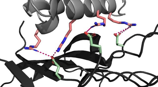 Image:Specific Interactions Picture.png