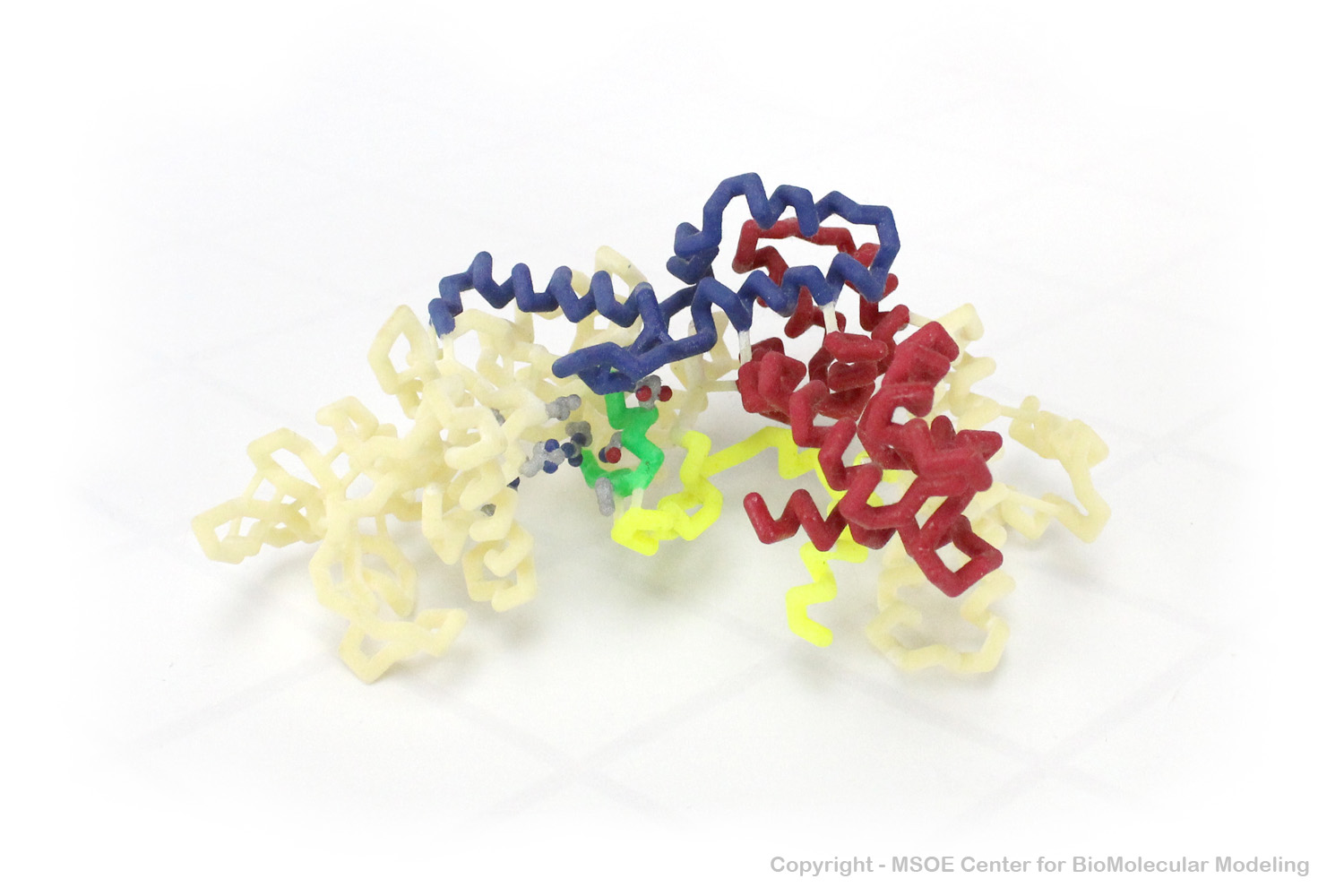 Image:anthrax2_centerForBioMolecularModeling.jpg