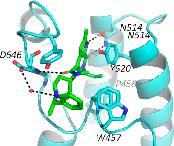 Image:Cecr2_contacts.jpg