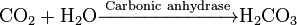 Image:D7423ca6daa1149f361c10b977acad36.png