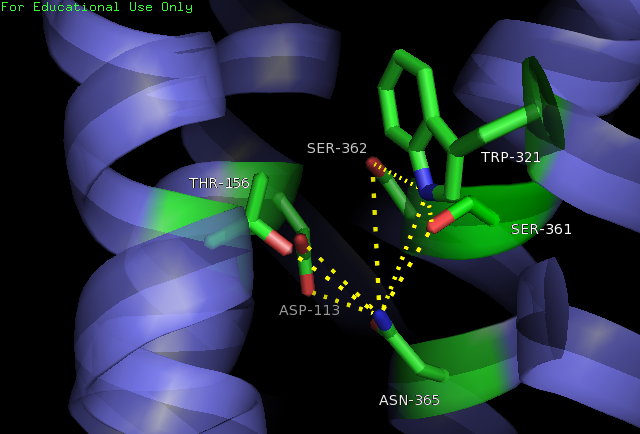 Image:4GRV open binding pocket.png