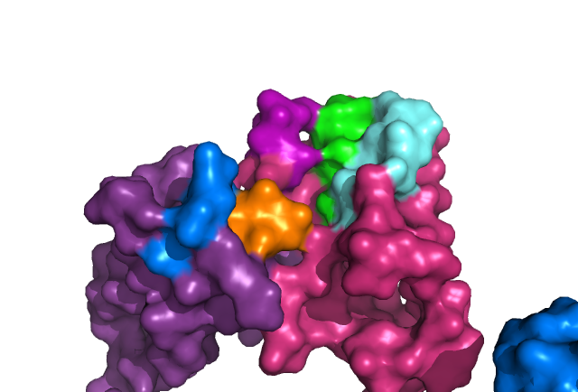 Image:IgM surface.png