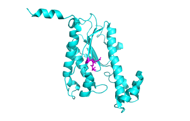 Image:Topocarboxy.png