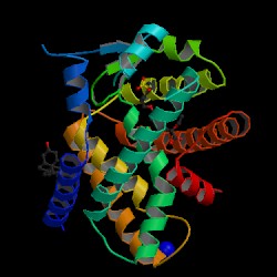 Figure 1: Ligand binding domain of PPARα in complex with agonist Az242. 1i7g