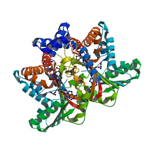 Image:6p3o.pdb1-500.jpg