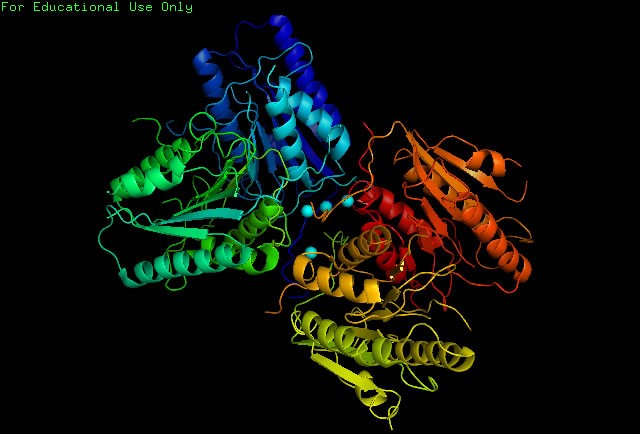 Image:Caspase-6 protein.jpg
