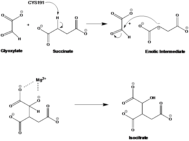 Image:Real Mechanism.png