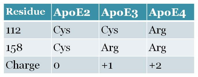 Image:Apoetable.png