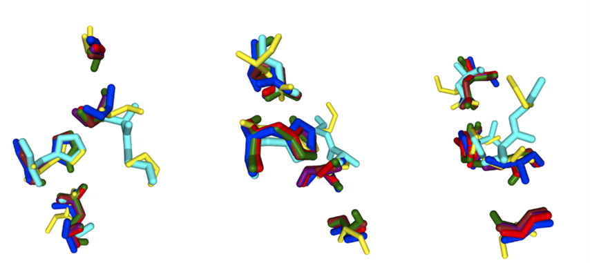 Image:SPRITE_pic_2.png