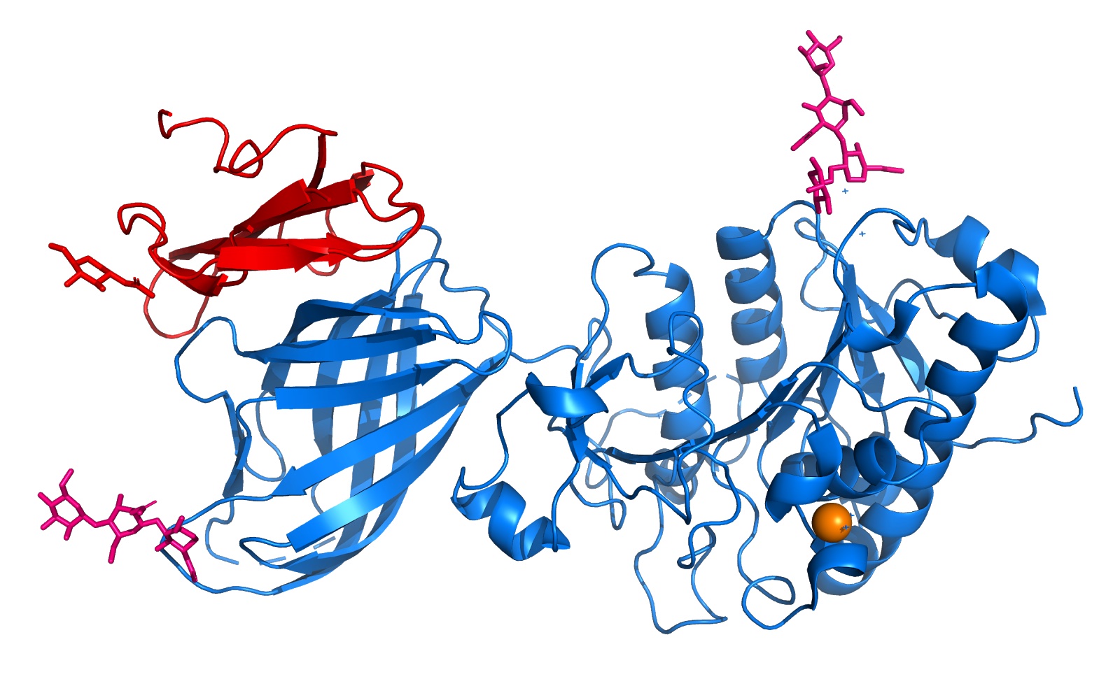 Image:LLP11.jpg
