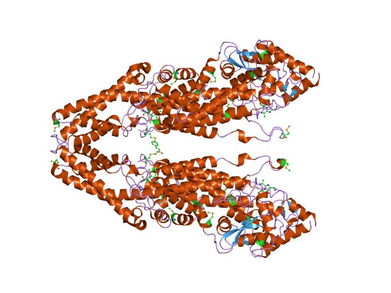 Image:PDB 1t6j EBI.jpg
