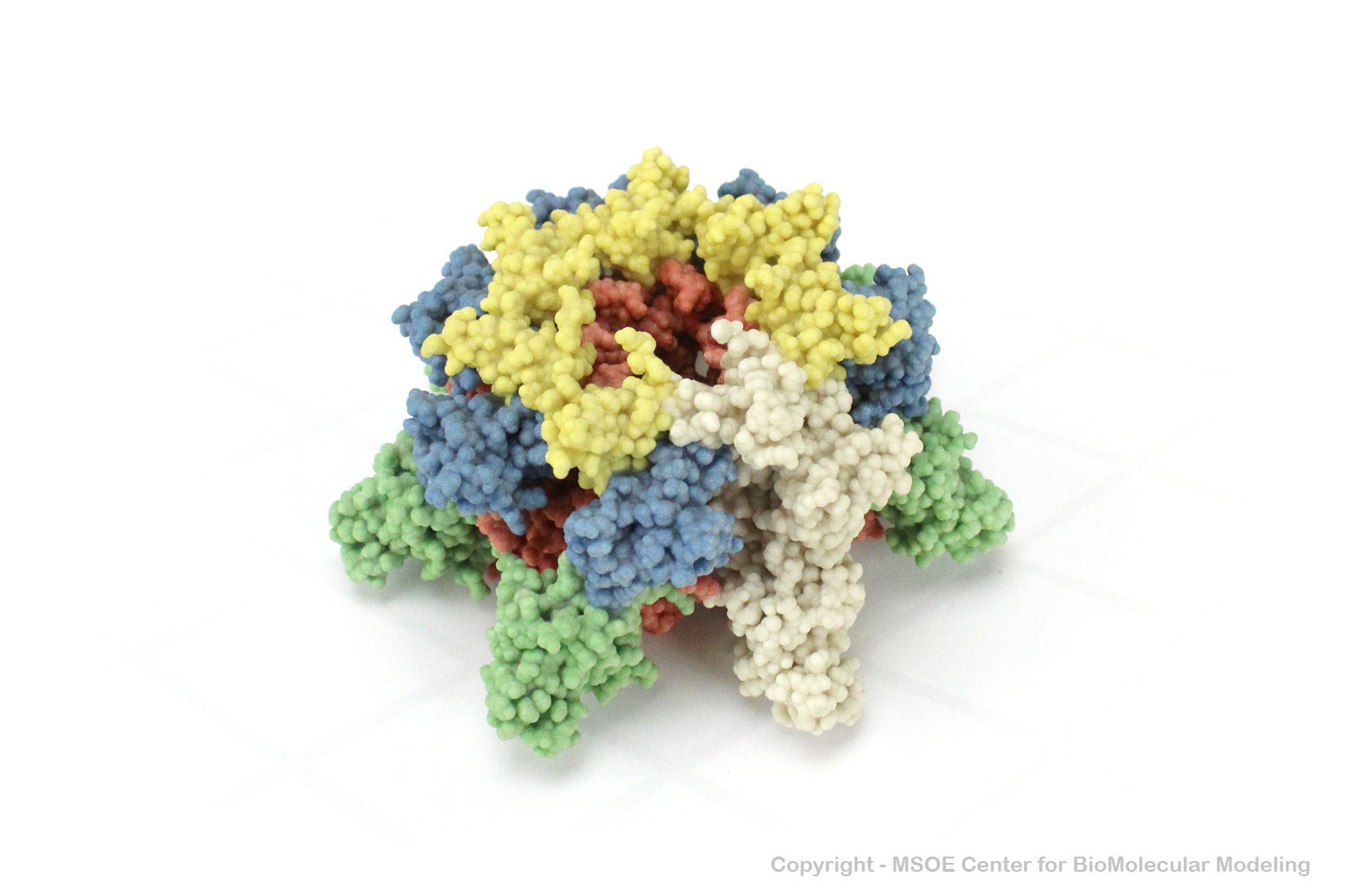 Image:anthrax1_centerForBioMolecularModeling.jpg