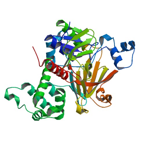 Image:Crystal structure of yeast Rab-GDI.jpg