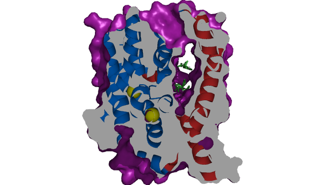 Image:Ntcpslicebilesalt.png