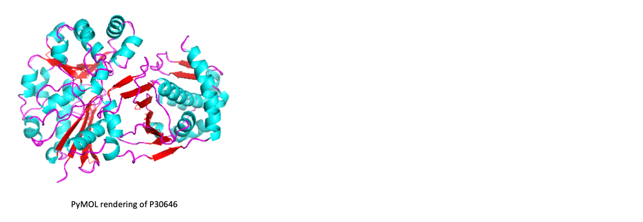 Image:Structure-P30646.png