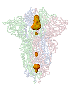 Image:Jmol-cavities-6zgi.png