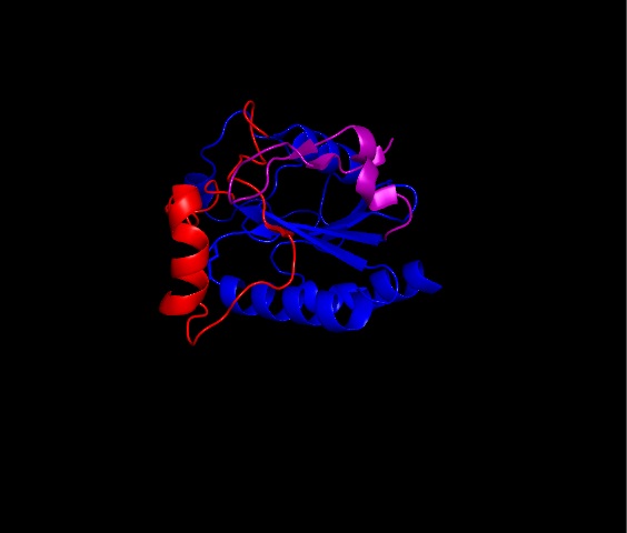 Image:Thioredoxin like fold.jpg