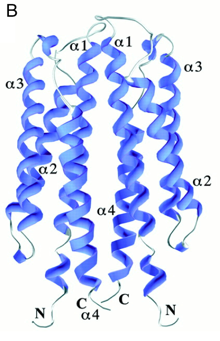 Image:Exemple2.PNG