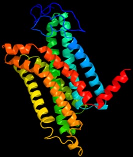 Image:PHYRE 2 .jpg