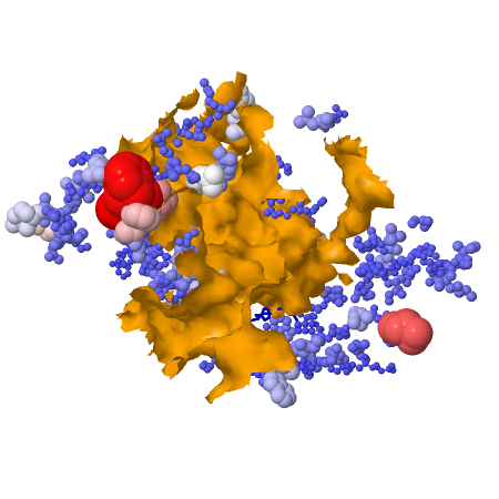 Image:1PFQ RSRZ bwr.png