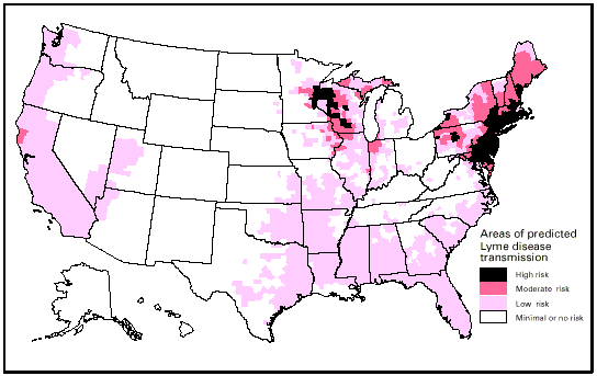 Image:Lyme disease infectious rates.png
