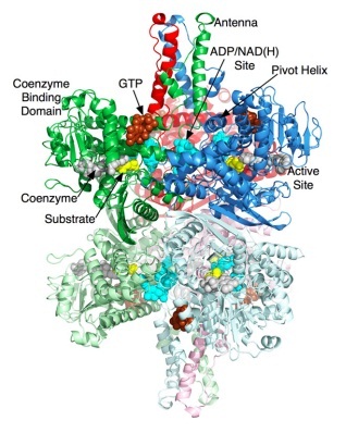 Image:structure.jpeg
