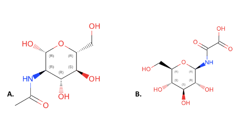 Image:Substrate_image_2.PNG