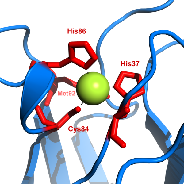 Image:600px-Plastocyanin copper binding.png