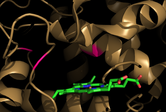 Image:ActiveSite.png