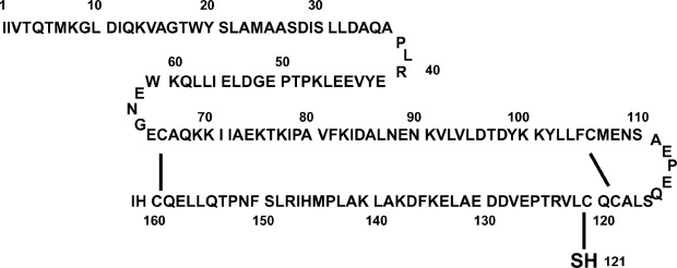 Image:Beta lac Residues.jpg