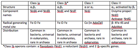 Image:Classes_of_ribonucleotide_reductases_(RNR).png