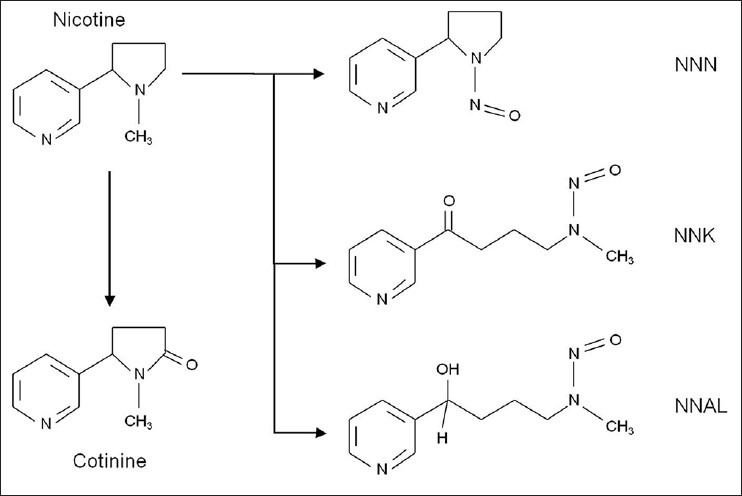 Image:Nicotine_Metabolites.jpg