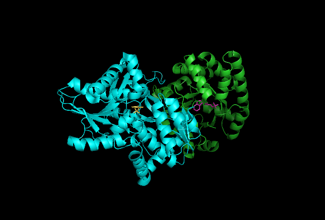 Image:Tryptophan Synthase Dimer 3.png