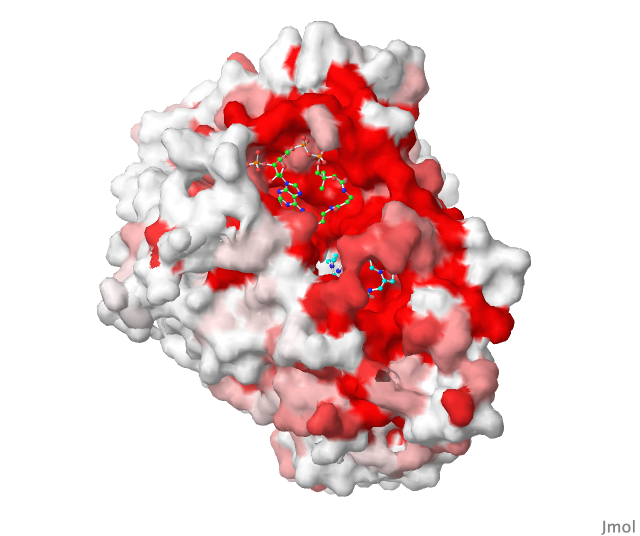 Image:Sup Fig 5 Surface Lig.png