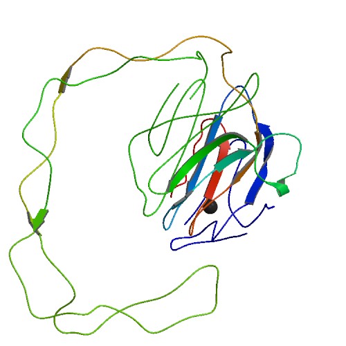 Image:Calnexin.jpg